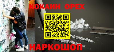 mdpv Гатчина
