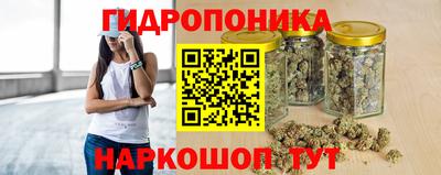 mdpv Гатчина