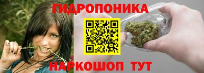 spice Гагарин
