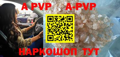 mdpv Гатчина