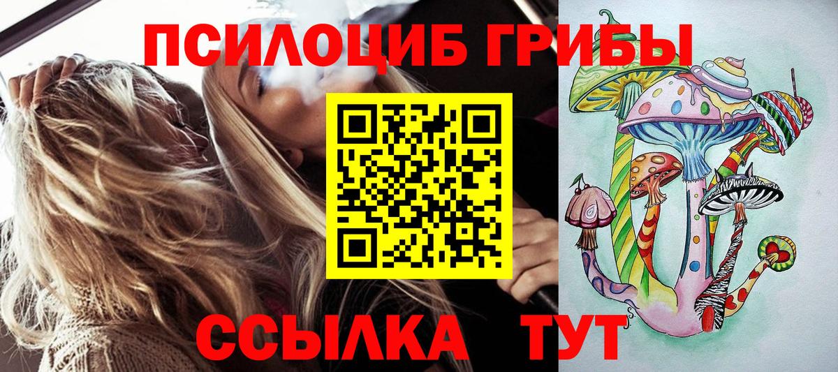 Псилоцибиновые грибы GOLDEN TEACHER Волхов