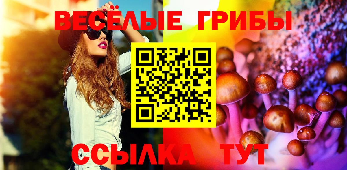 Волхов  Псилоцибиновые грибы мухоморы  купить   Вход с VPN  Псилоцибиновые грибы MAGIC MUSHROOMS 